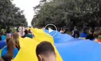 В Батуми тоже прошла акция в поддержку Украины