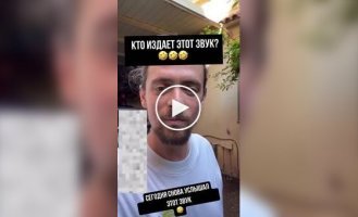 Мужчина нашел источник странного звука