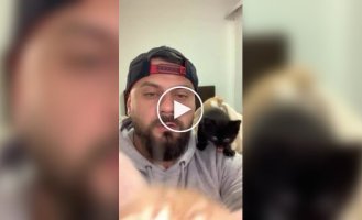 Кошачий нянь