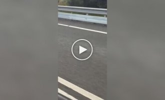 Лежачий поліцейський в Австралії