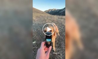 Чоловік дав своєму собаці камеру