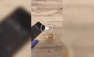 Testing the five-second rule