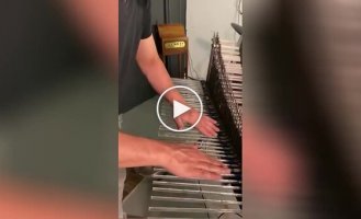 Неземные звуки: на видео сняли музыкальный инструмент Хрустальный Басшет