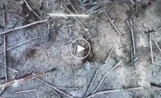 Ukrainian drones drop grenades on Russian infantry in Serebryansky Forest