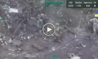 Again war crimes by the Russians: The occupiers shot two captured Ukrainian soldiers