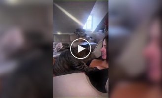 Девушки (короткие видео). Выпуск 31
