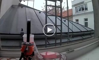 Как отучить голубей садиться на лоджию