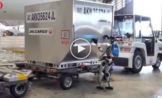 Японская авиакомпания внедряет человекоподобных роботов в аэропортах из-за нехватки рабочих рук