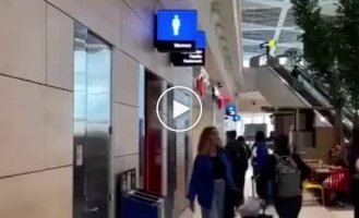 Pet toilet at the airport. Canada