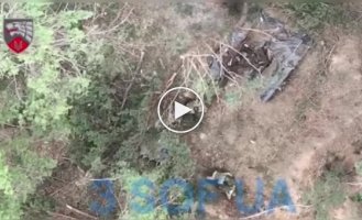 Donetsk region, Ukrainian drone drops grenades on Russian military