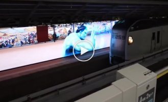 Борец сумо остановил поезд, чтобы спасти кота