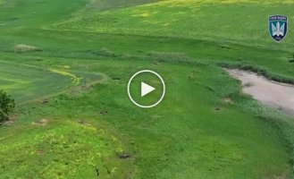 Операторы дронов сбросами двухсотят в поле двух оккупантов