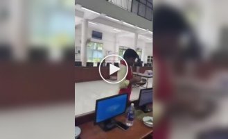 В Индии аукционы по продаже кардамона превращаются в настоящее шоу