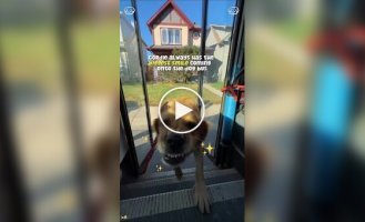 Водитель автобуса для собак: работа мечты