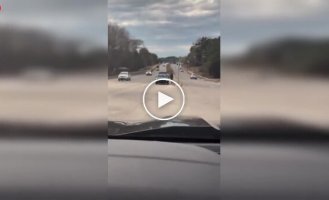 Погоня із застосуванням шипів призвела до пошкодження лінії електропередач