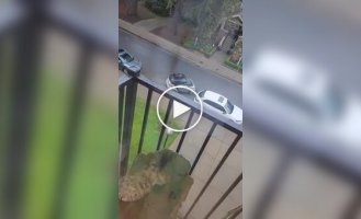 Attempt to park a car