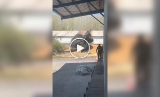 Пакет устроил шоу во дворе