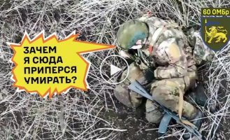 Бійці Інгулецької бригади атакували групу російських солдатів посеред поля: було знищено 7 окупантів