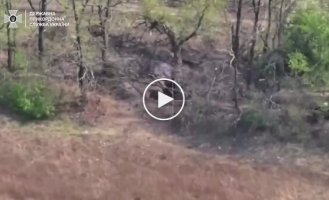 Украинские защитники поразили вражеские укрытия, блиндажи, средства связи, транспорт и личный состав