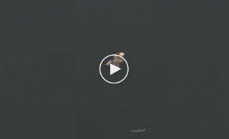 Bear rests on Friday