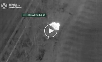 Пограничники уничтожили 2 замаскированные гаубицы Д-30 и их артиллерийский расчет на Запорожском направлении