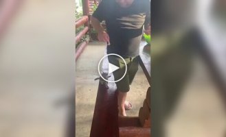 Маленький пушистик явно оказался хитрее, чем от него ожидали