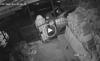 Man dressed up as a nun for the sake of thefts