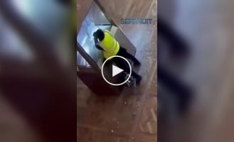 Нові кадри моменту пограбування Лувру