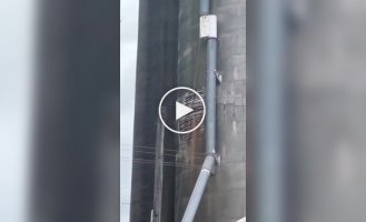 Обрушения силосной башни в американском городе