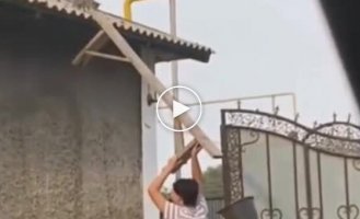 Спасение котенка с крыши