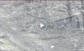 Russian military uses a stick to shoot down a Ukrainian FPV drone