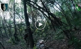Soldiers of the Special Operations Forces raided the enemy in the North Slobozhansky direction
