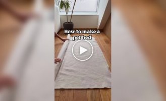 How to make a bed for a pet from an old blanket