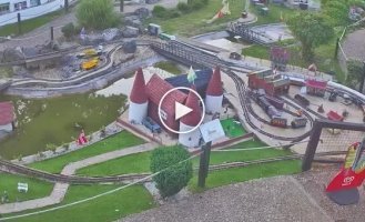 Лисы превратили макет деревни в собственную игровую площадку
