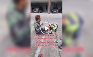 Курьер спас кошку во время пожара
