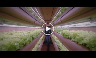 Inflatable farm for growing vegetables in arid areas areas