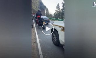 Когда милые обезьяны становятся нахальными: турист чуть не остался без штанов