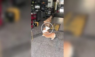 Необычная традиция двух друзей на СТО