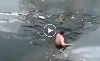 Астраханский житель спас пса, который тонул в ледяной воде