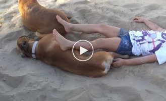 A lesson in politeness for a little girl from a dog