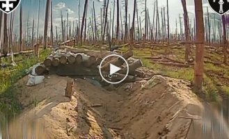 Враг остался без глаз: на Лиманском направлении уничтожено элитное укрытие вражеских пилотов
