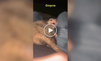 Девушка не в восторге от нового друга ее парня