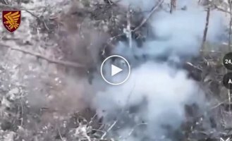 Pieces of the occupier fly in the air after an attack by a Ukrainian kamikaze drone