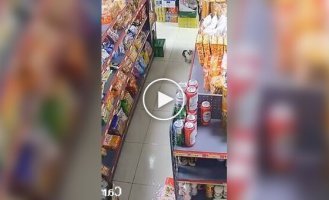 The daring theft of a cucumber from a store