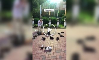 Cat capital: a selection of videos showing everyday life in Istanbul