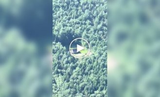 Идеальное жилье для интроверта