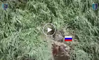 Російський загарбник борсається у річці на Херсонщині після атаки наших захисників
