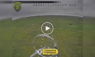 Оккупант неудачно маскировался между зубами дракона и был ликвидирован дроном