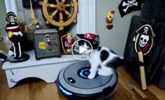 Pirate kitten rides a vacuum cleaner