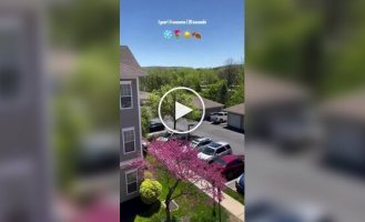 4 сезона года за 20 секунд